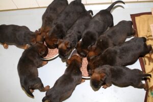 chelsea mit 10 kindern IMG_9997we