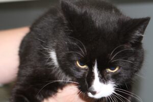 dino IMG_0436we dino IMG_0436we