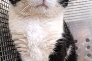 django IMG_002 django IMG_002