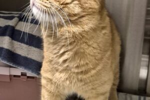 herny IMG_002 herny IMG_002