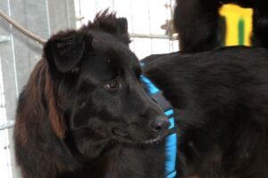 krischa IMG_0102we krischa IMG_0102we