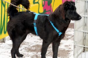 krischa IMG_0106we krischa IMG_0106we