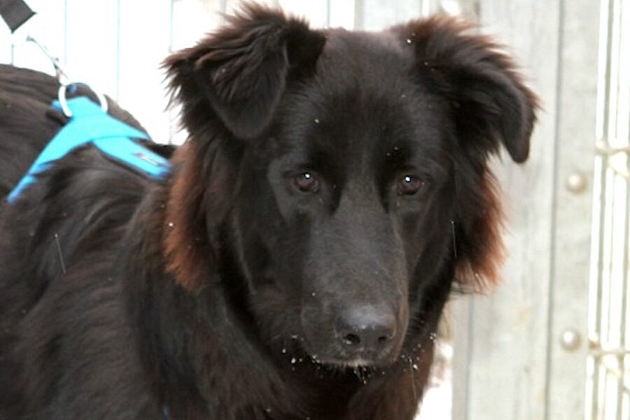 krischa IMG_0114we krischa IMG_0114we