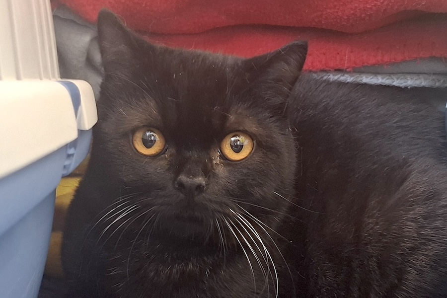 miro IMG_2001 miro IMG_2001