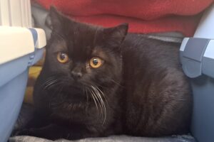 miro IMG_2003 miro IMG_2003