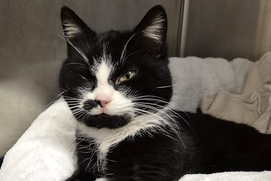 owen IMG_002 owen IMG_002