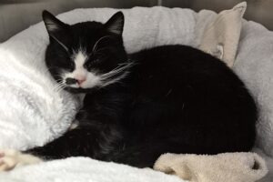 owen IMG_003 owen IMG_003