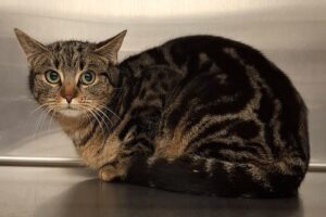 ruby IMG_002 ruby IMG_002