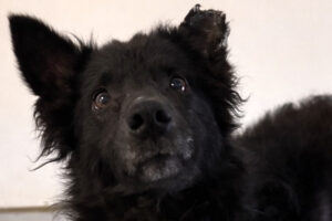 schorschi IMG_1000