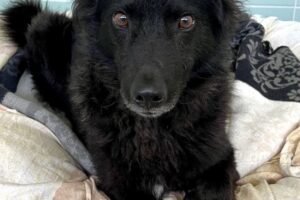 schorschi IMG_5784