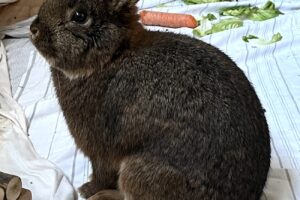 bruno IMG_4801