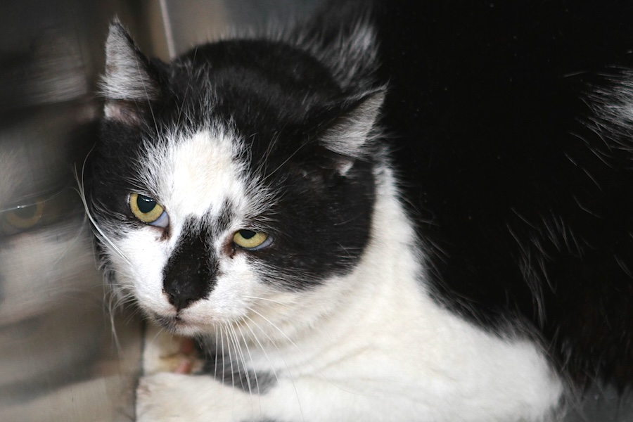 christopherus IMG_1523we