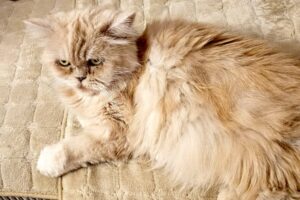 cucu von privat IMG_003