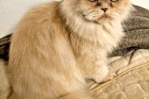 cucu von privat IMG_004