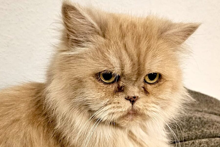 cucu von privat IMG_005