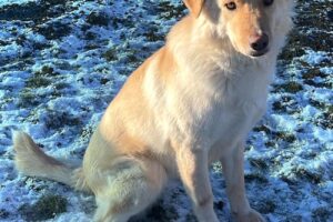 elly spaichingen IMG_001