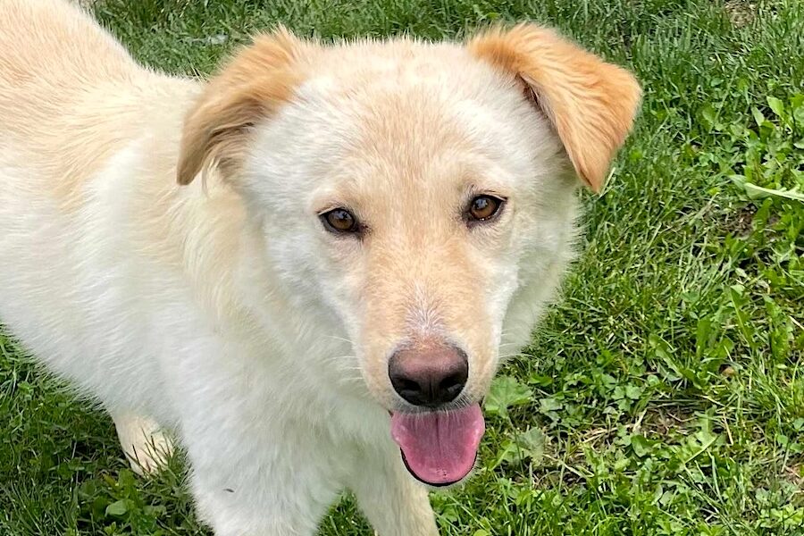 elly spaichingen IMG_0010