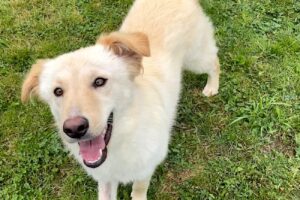 elly spaichingen IMG_002