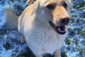 elly spaichingen IMG_003