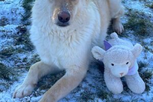 elly spaichingen IMG_004