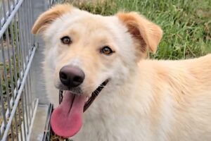 elly spaichingen IMG_005