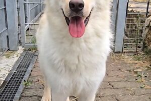 elly spaichingen IMG_006