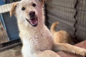 elly spaichingen IMG_007