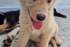 elly spaichingen IMG_008