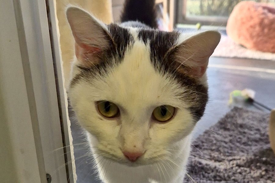 gabby IMG_0001