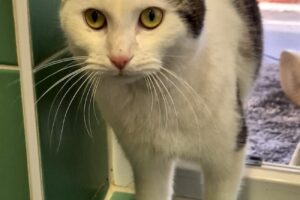 gabby IMG_0002