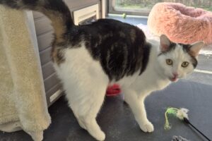 gabby IMG_0003