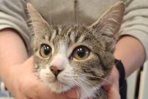 melanie oder marlene 01