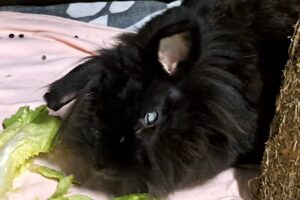 olga IMG_1008