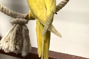 rio IMG_4979 rio IMG_4979