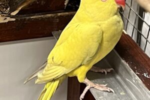 rio IMG_4983 rio IMG_4983