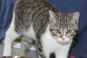 soro IMG_1743we