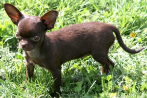 bella IMG_3214we