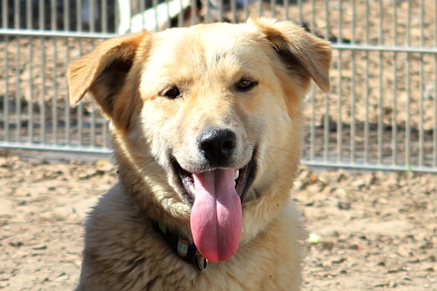 felix IMG_2722wekopf