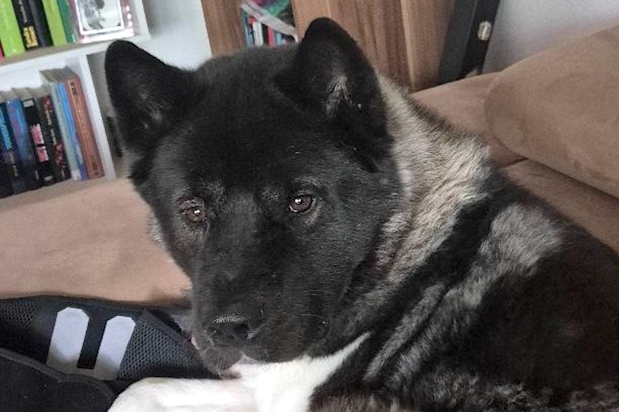 ketty privat IMG_001