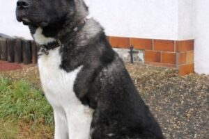 ketty privat IMG_004