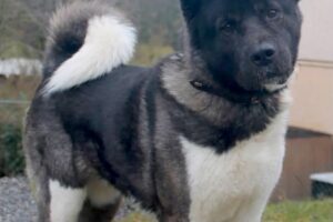 ketty privat IMG_005