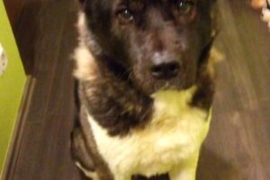 ketty privat IMG_009