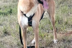 otilia IMG_0013 otilia IMG_0013