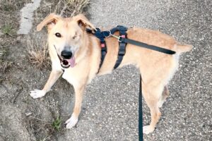 otilia IMG_002 otilia IMG_002
