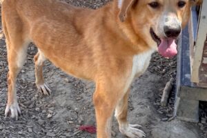 otilia IMG_0455 otilia IMG_0455