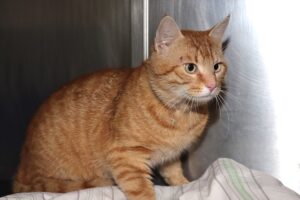benny IMG_001