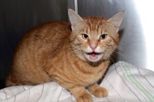 benny IMG_002