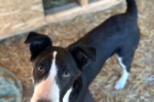 cash IMG_001
