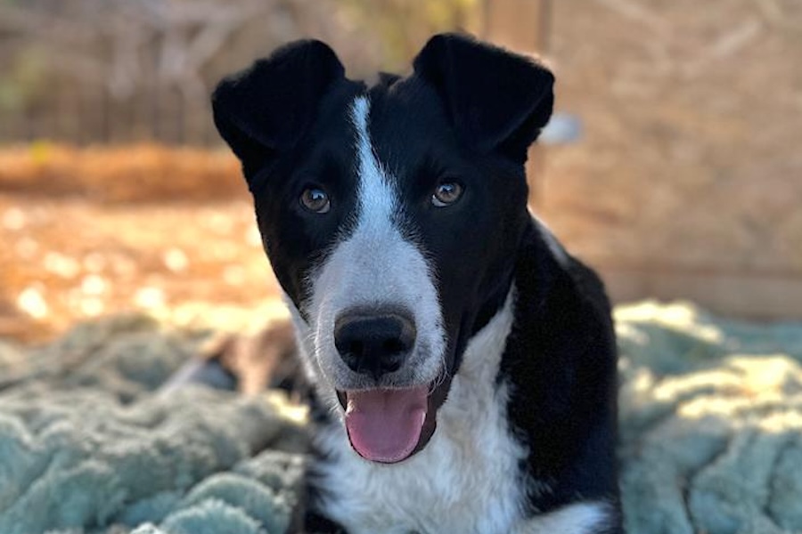 cash IMG_002