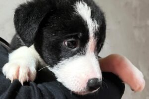 cash IMG_004